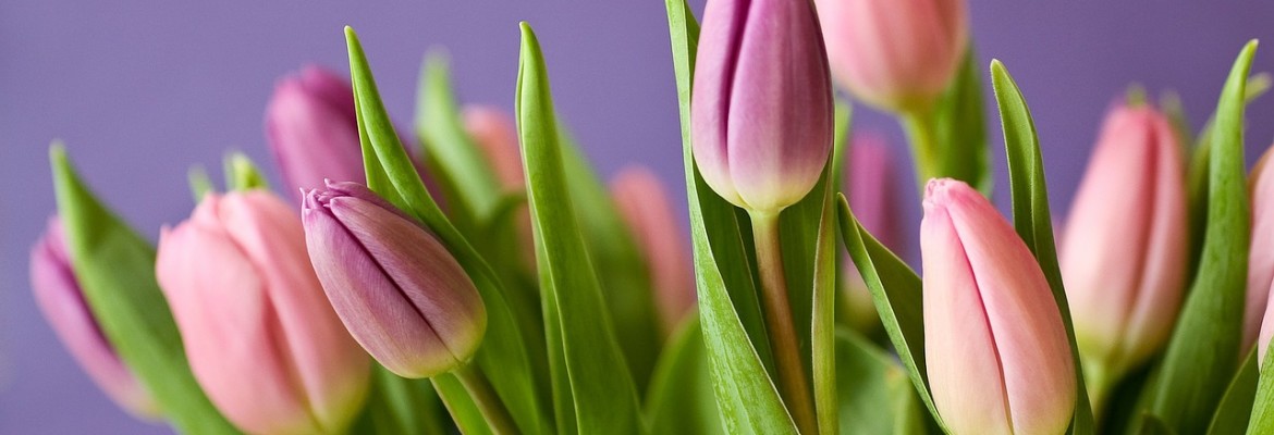 Aktualności